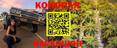 спайс Тара
