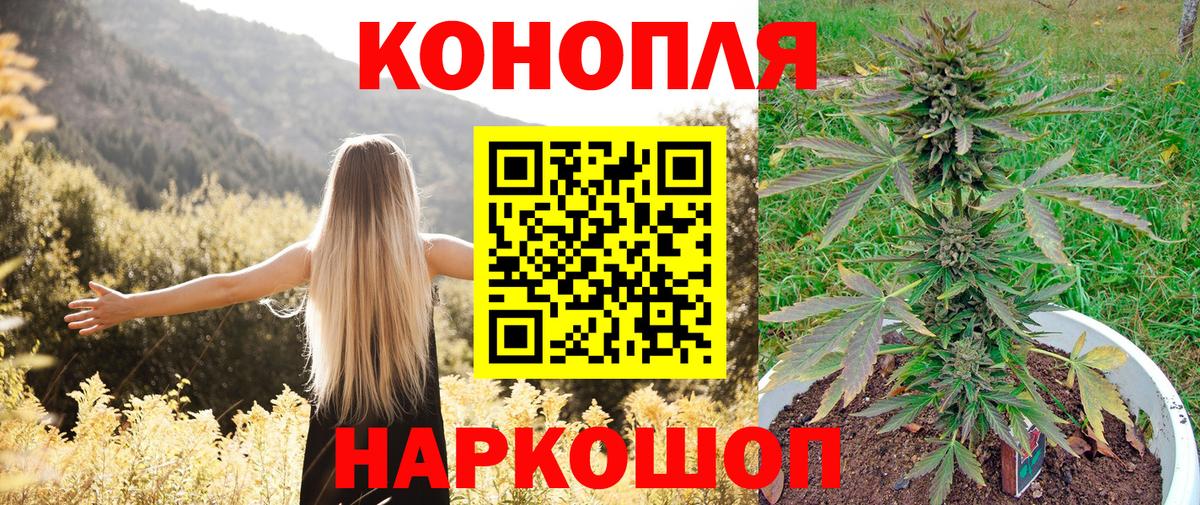 Марихуана VHQ  Шишки марихуана сатива  МАРИХУАНА планчик  Вход с VPN  Нурлат 